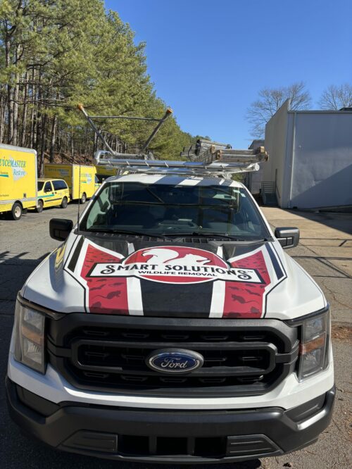 Atlanta pest control