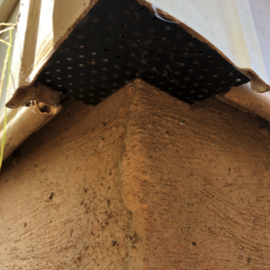 Rodent Proofing home siding corners