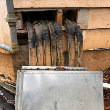 AC Line Wild Animal Exclusion