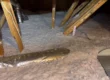 damaged insulation replacement